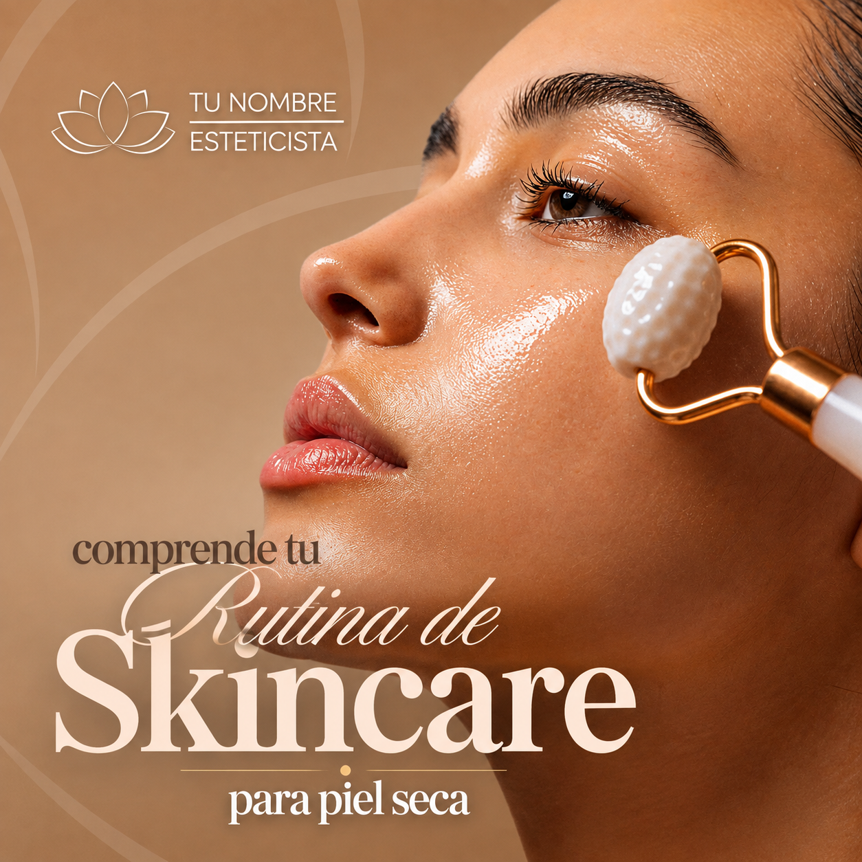 Pack profesional editable en Canva
